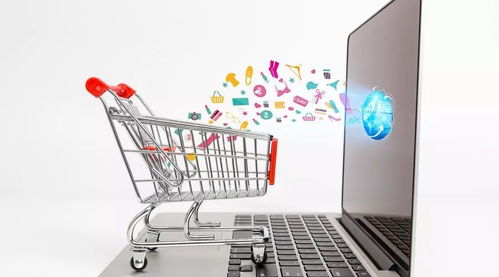 提升正品保障與配送服務，推動中國網購市場品質升級