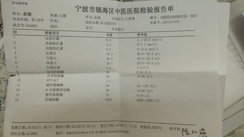 抽血檢驗報告單匯總與肝癌血漿microRNA標志物檢測報告系統(tǒng)
